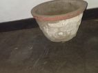 Flower Pot