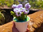 flower pot
