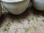 Flower pots