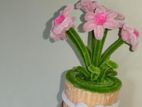 Flower Pots