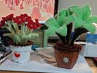 Flowers Vases