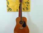 Floyd Rose Box Guitar