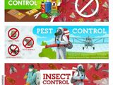 Fly And Insect Control Treatments