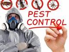 Fly and Termite Control Treatments