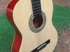 Focus Classical Guitar