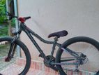 Focus Sport Series Bicycle