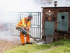 Fogging and Pest Control Treatments