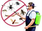 Fogging and Pest Control Treatments