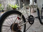 Folding Bicycle