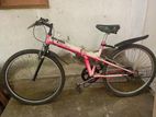 Folding Bicycle