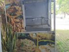 Food Hut