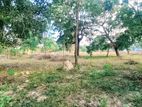 Land for Sale Kilinochchi