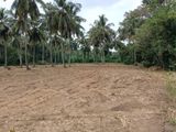 Valuable Land Close to Wellawaya Town