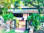 For Rent: Renovated Three Room House in Panadura