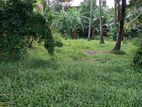 For Sale: 15 Perch Land in Thuduwegara, Ragama!