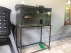 Fish Tank with Stand
