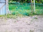 Land for Sale in Sainthamaruthu