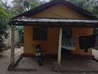 Batticaloa House with Land for Sale