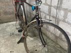 Raleigh Bicycle