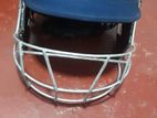 Cricket Helmet