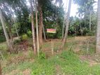 Land For Sale In Alawwa