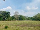 Land for Sale මහව