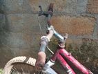DSI Bicycle