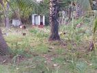 Land for Sale in Trincomalee