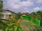 House with Land for Sale Wasanthampura