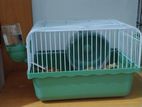 Hamster Cage