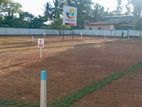 for Sale in Ekala – Ja Ela Near Colombo 5 Road Luxury Land