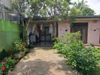 FOR SALE: Modern Single-Story House in Wattala – Rs. 20 Million