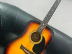 Peavey Acoustic Guitar