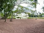FOR SALE: Prime 20-Perch Land in Seeduwa-Raddoluwa | 10 Mins to Airport