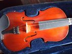 Violin