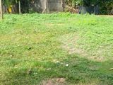 Land for Sale Kaduwela