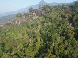 Forest Land for Sale in Balangoda