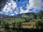 Forest land with Tourist Guest House near Haputale