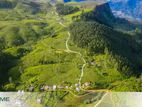 Forest view point Holiday Home nuwaraeliya road