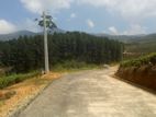 Forest View Point Land For Nuwara Eliya