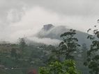Forest View Point Land for Sale Nuwara Eliya