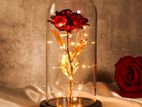 Forever Rose Flower in Glass Dome with LED Lighting