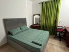 Four bedrooms Luxury House at Lion city