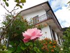 Freedom Home for Short-term Rental in Nuwara Eliya