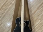 Freeman Acoustic Guitar