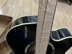 Freeman Acoustic Guitar