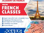 French classes DELF/DALF/TEF Exam Perparation