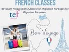 French Exam Preparation Classes for DELF / DALF TEF