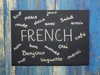 French Classes for School Children Grade 6-11
