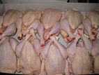 Fresh Chicken